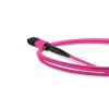 Cabo MPO para MPO Fêmea 1m, 12 Fibras, OM4 G651.1 50/125 Multimodo, Tipo B LSZH Magenta Miljet