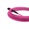 Cabo MPO para MPO Fêmea 10m, 12 Fibras, OM4 G651.1 50/125 Multimodo, Tipo B LSZH Magenta Miljet