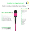 Cabo MPO para MPO Fêmea 10m, 12 Fibras, OM4 G651.1 50/125 Multimodo, Tipo B LSZH Magenta Miljet