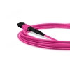 Cabo MPO/APC para MPO/APC Fêmea 5m, 12 Fibras, OM4 G651.1 50/125 Multimodo, Tipo B LSZH Magenta Miljet