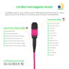 Cabo MPO para MPO Fêmea 40m, 12 Fibras OM4 G651.1 50/1 25 Multimodo, Tipo B LSZH Magenta Miljet
