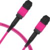 Cabo MPO para MPO Fêmea 1m, 12 Fibras, OM4 G651.1 50/125 Multimodo, Tipo B LSZH Magenta Miljet