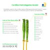 Cordão Óptico 3m, E2000/APC-LC/UPC, SM BLI G657-A2 9/125, OS2 Duplex 2.0mm LSZH Amarelo, Fibra Monomodo Miljet